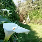Casa Holstein Quinta De Sao Sebastiao Sintra
