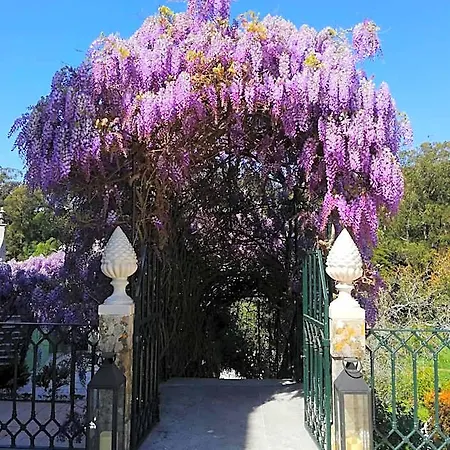 Casa Holstein Quinta De Sao Sebastiao 4* Sintra