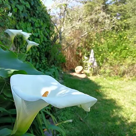 Casa Holstein Quinta De Sao Sebastiao Sintra
