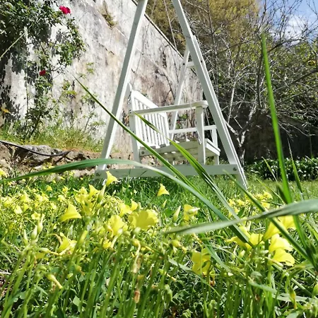 Casa Holstein Quinta De Sao Sebastiao Pensionat