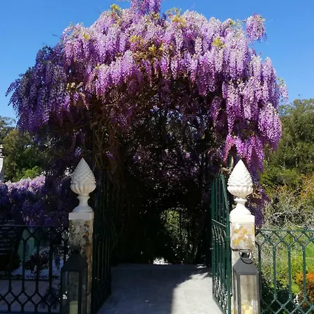 Casa Holstein Quinta De Sao Sebastiao Konukevi