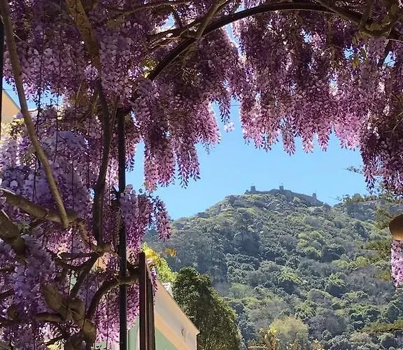 Casa Holstein Quinta De Sao Sebastiao Pensjonat 4*